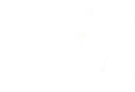 Company LTD007