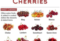 Types of Cherries