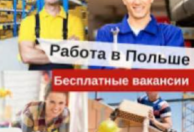 Лучшие Вакансии в Польше