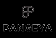Pangeya Group