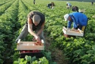 ФОП Деяк Николай Михайлович