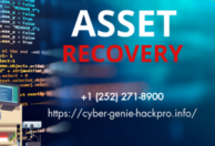 Expert Ethical Hacking and Crypto Recovery Services CYBER GENIE HACK PRO