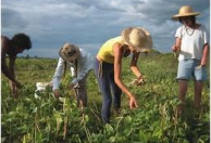 ФЛП Москаленко Т.О.