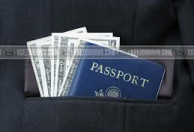 Professional Logistic Group