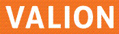 Valion Real Estate Group