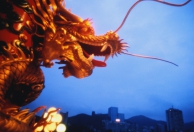 Work-in-China / Job in China