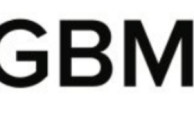 trades.gbmsecurities.org