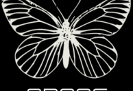 Grace Models