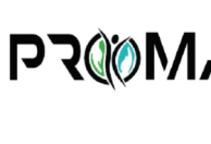 Promassage