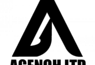 AGENCH LTD Nekrasov