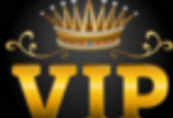 VIP WORKS SOLUD 2024