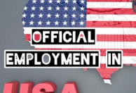 EMPLOYMENT IN THE USA