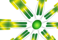 Staff Consulting Group (SCG_UA)