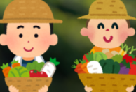 Grönsaksmästarna Nordic AB