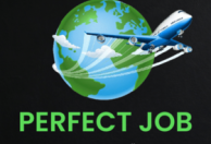 Perfect Job