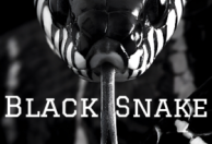 Black Snake
