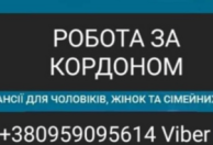 Агенство з працевлаштування