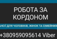 Агенство з працевлаштуванням
