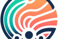 Professional.Path.UK