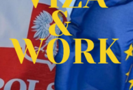 Viza&work