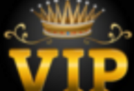 Pro VIP Solutions LTD