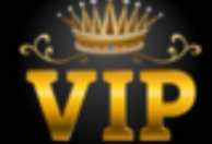 VIP SOLUTION LTD