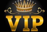 VIP RECRUITMENTS LTD